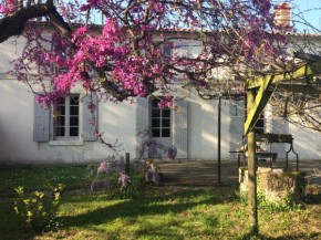 Une Chambre d'artiste dans le Marais Poitevin